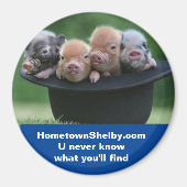 Shelby NC magneet (Voorkant)