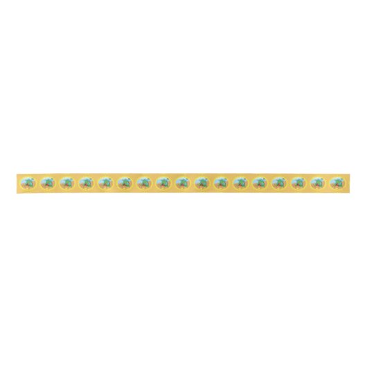 Sheldon on the Beach Lint (Voorkant)