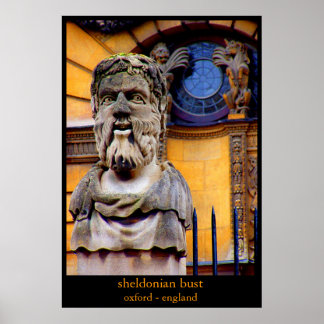 sheldonische bust poster