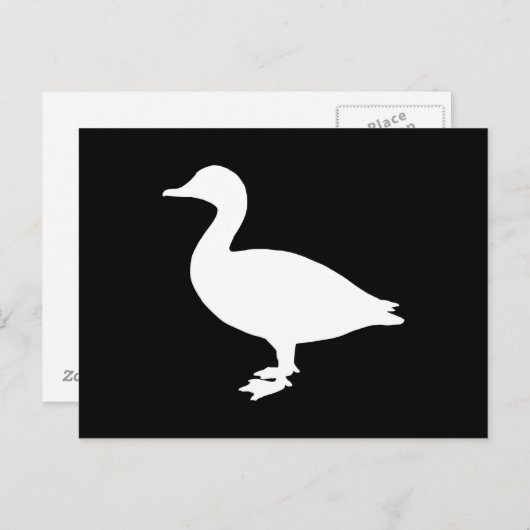 Sheldrake Duck Briefkaart (Voorkant / Achterkant)
