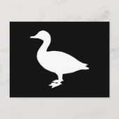 Sheldrake Duck Briefkaart (Voorkant)