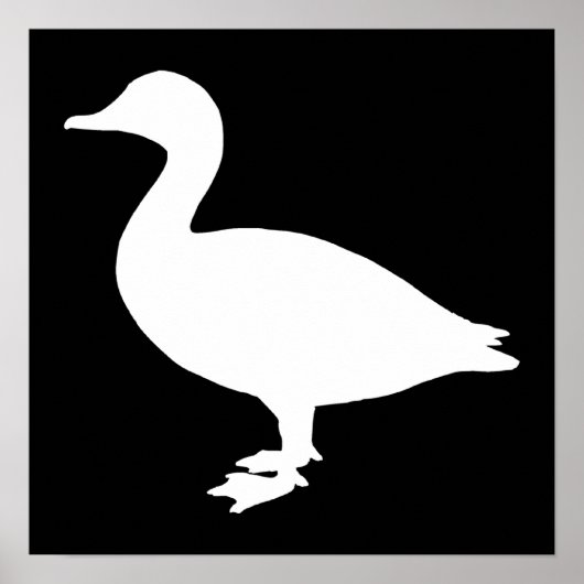 Sheldrake Duck Poster (Voorkant)