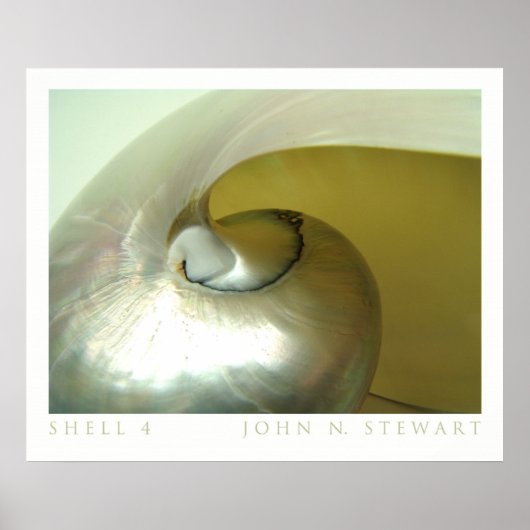 Shell #4 poster (Voorkant)