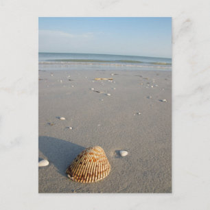 Shell Beach Briefkaart