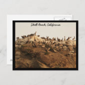 Shell Beach, Californië Briefkaart (Voorkant / Achterkant)