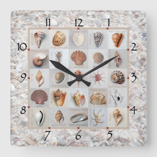 Shell Beach Clock Vierkante Klok (Voorkant)
