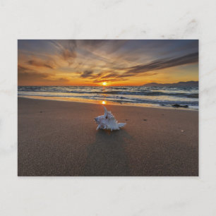 Shell bij het strand op zonsondergang   eiland Kos Briefkaart