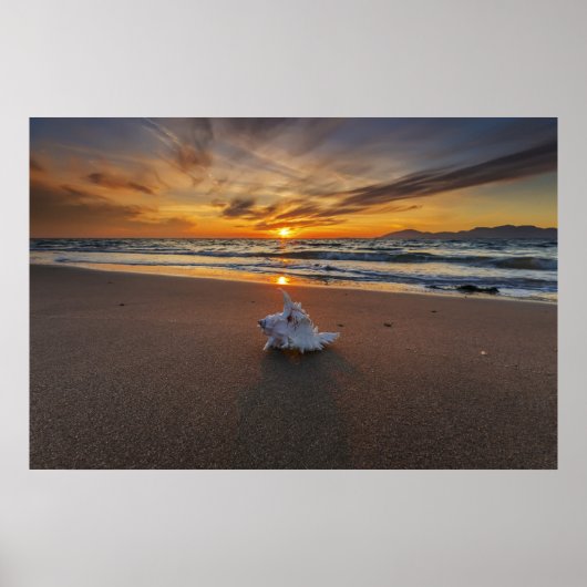 Shell bij het strand op zonsondergang | eiland Kos Poster (Voorkant)