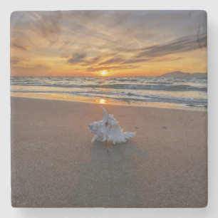 Shell bij het strand op zonsondergang   eiland Kos Stenen Onderzetter