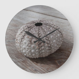 Shell bovenop een houten tafel grote klok