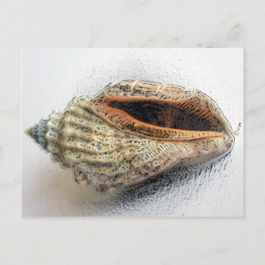 Shell-Briefkaart Briefkaart (Voorkant)