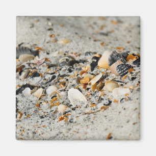 Shell-cache Magneet