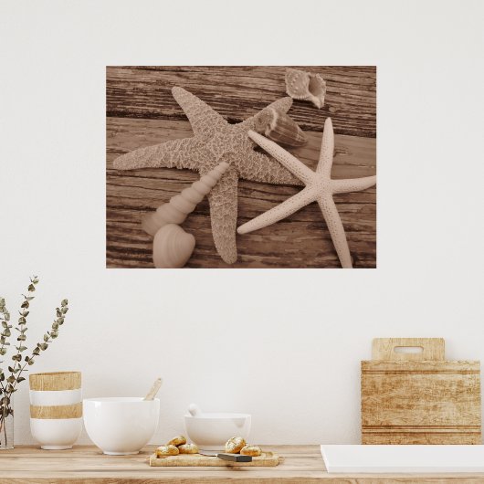 Shell-Collectie Poster (Keuken)