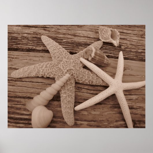 Shell-Collectie Poster (Voorkant)