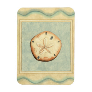 Shell Collector Magneet