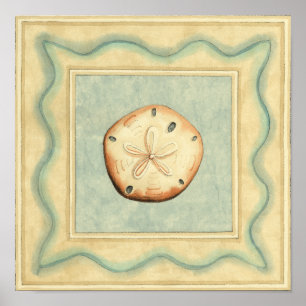 Shell Collector Poster