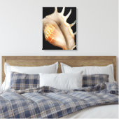 Shell - Conchologie - Conch Canvas Afdruk (Insitu (Slaapkamer))