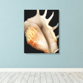 Shell - Conchologie - Conch Canvas Afdruk (Insitu (Houten vloer))
