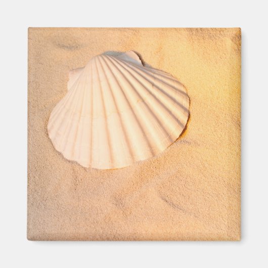 Shell dat in zand Lakt Magneet (Voorkant)