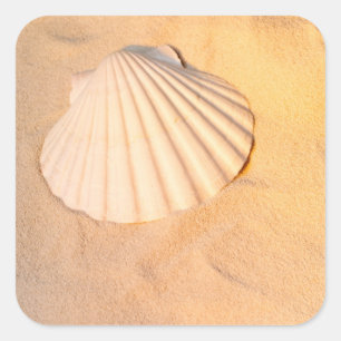 Shell dat in zand Lakt Vierkante Sticker