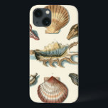 Shell de fantaisie échouent<br><div class="desc">George Wolfgang Knorr est connu pour le détail et la précision sensibles de ses illustrations des coquilles et des étoiles de mer. Ses dessins ont été influencés par son propre intérêt pour la science, des thèmes populaires de son ère.</div>