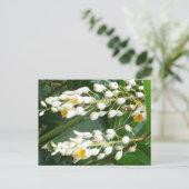 Shell Ginger Briefkaart (Staand voorkant)
