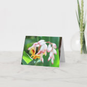 Shell Ginger Photo Folded Blank Note Kaart (Voorkant)