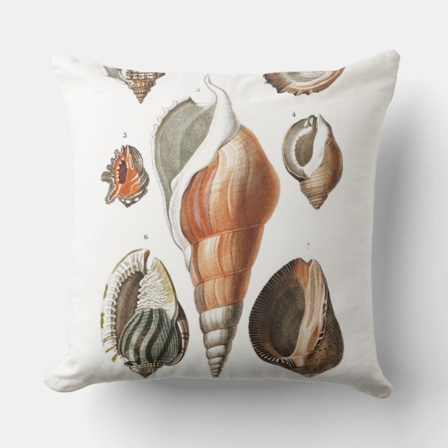  Shell Illustration Pillow Buitenkussen (Voorkant)