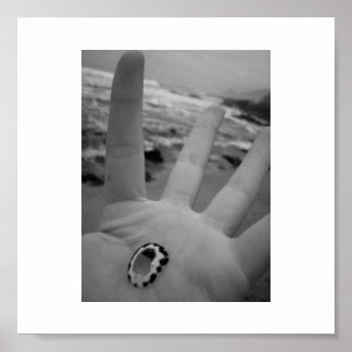 Shell in handen poster