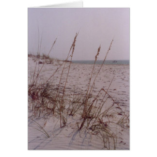 Shell Island