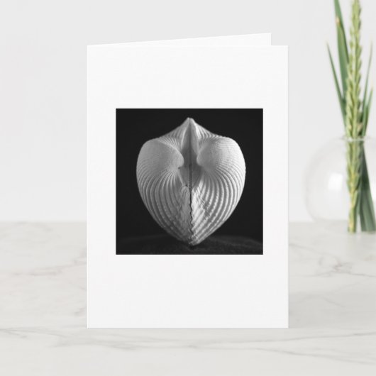 Shell Kaart (Voorkant)