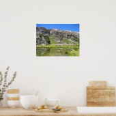 Shell Lake, Tioga Pass, CA Poster (Keuken)