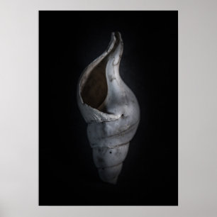 Shell No 4 Color Version Poster