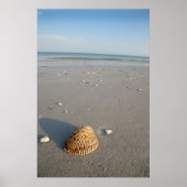 Shell Poster (Voorkant)