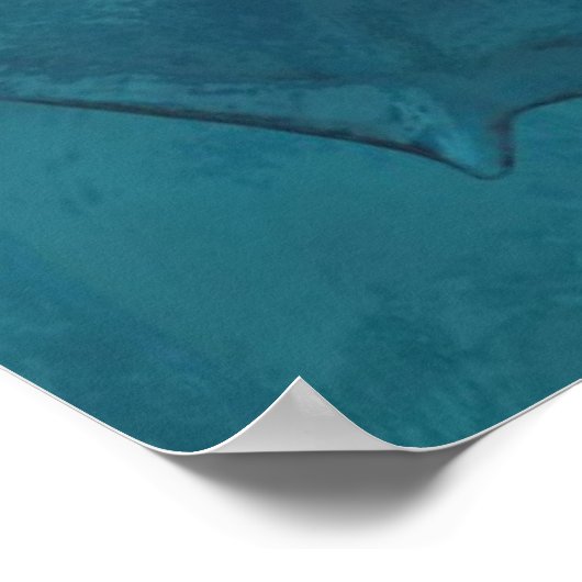 Shell Poster (Hoek)