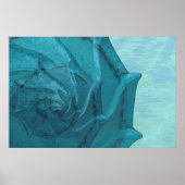 Shell Poster (Voorkant)