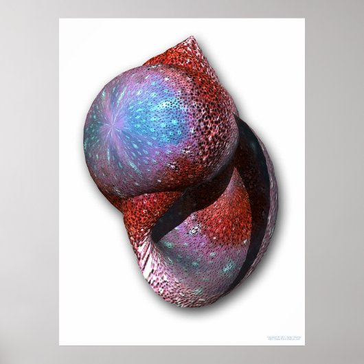 Shell Poster (Voorkant)