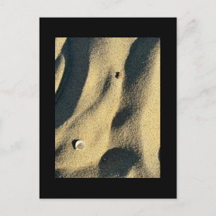 Shell Sand and Shadows-Briefkaart Briefkaart