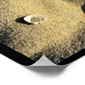 Shell Sand and Shadows-Poster Poster (Hoek)
