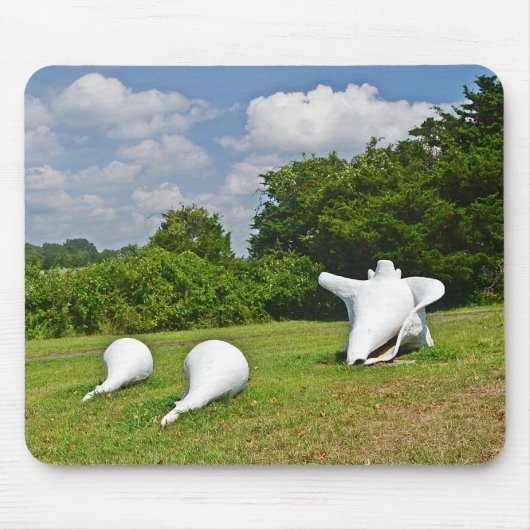Shell Sculpture Mousepad Muismat (Voorkant)