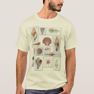 Shell-Shirt T-shirt
