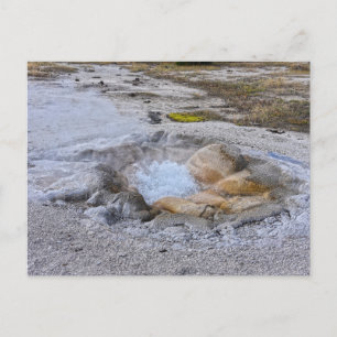 Shell Spring in Yellowstone National Park, Wyoming Briefkaart