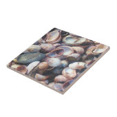 Shell-Tegel Tegeltje (Zijkant)