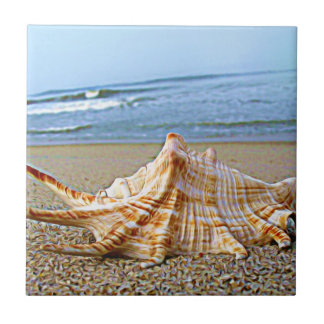 Shell Tegeltje