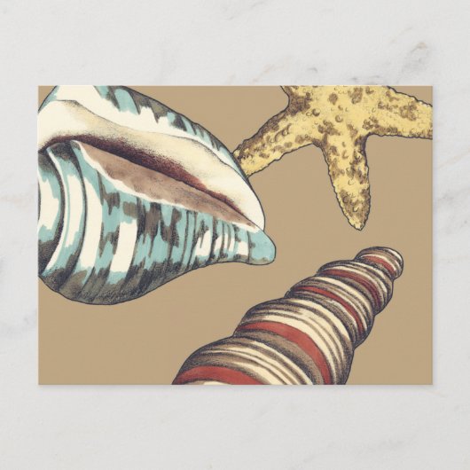 Shell Trio op Khaki Briefkaart (Voorkant)