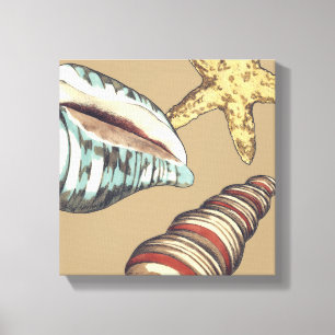 Shell Trio op Khaki Canvas Afdruk