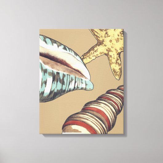 Shell Trio op Khaki Canvas Afdruk (Voorkant)
