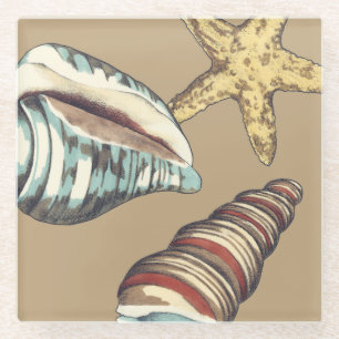 Shell Trio op Khaki Glazen Onderzetter