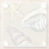 Shell Trio op Khaki Glazen Onderzetter (Achterkant)