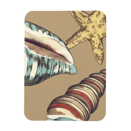 Shell Trio op Khaki Magneet (Verticaal)